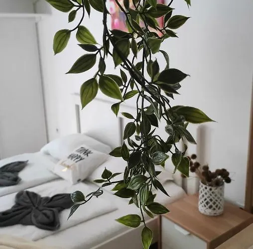 Super Cozy & *