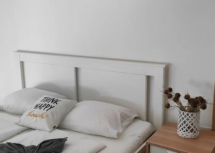 Super Cozy & Apartamento