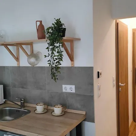 Super Cozy & Apartment