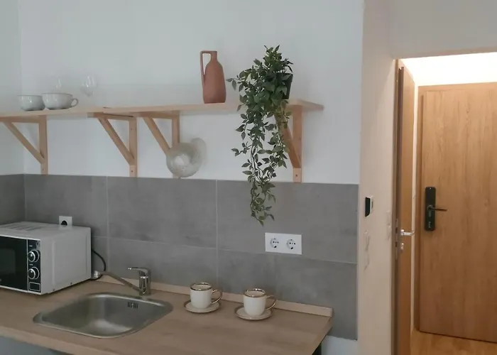 Super Cozy & Budapest