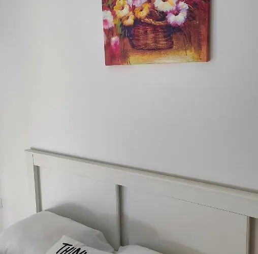 Super Cozy & شقة *