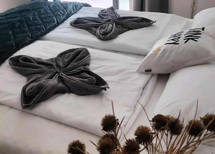 Super Cozy &