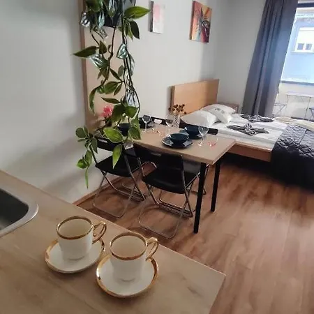 Cozy Near New York Cafe With Balcony, Parking, Ac Appartement *