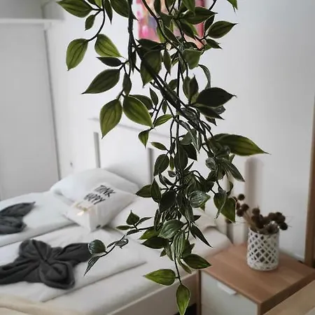 Cozy Near New York Cafe With Balcony, Parking, Ac *
